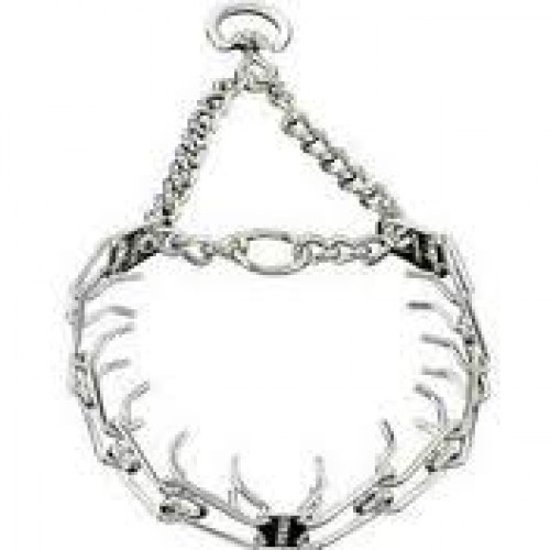 Dog Training Collar Hs Code dog training vic park perth